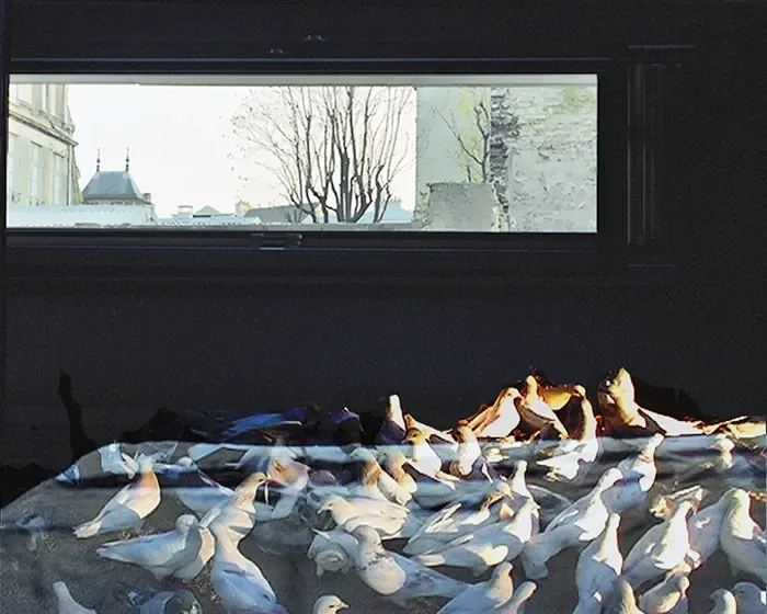 place intim – Ansicht der Installation